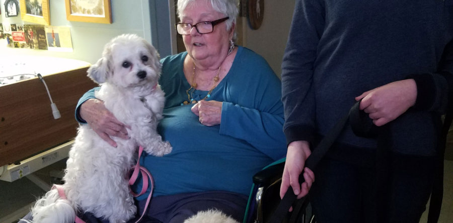 Peggy, Anna, Pumpkin and Ken