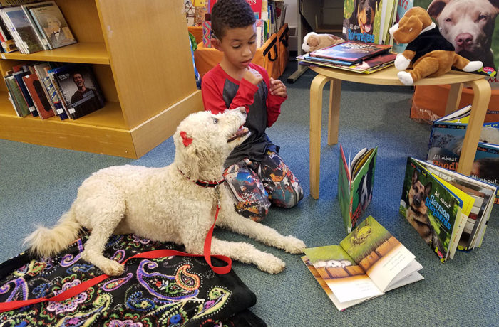 Mill Neck School for the Deaf with Therapy Dogs of Long Island