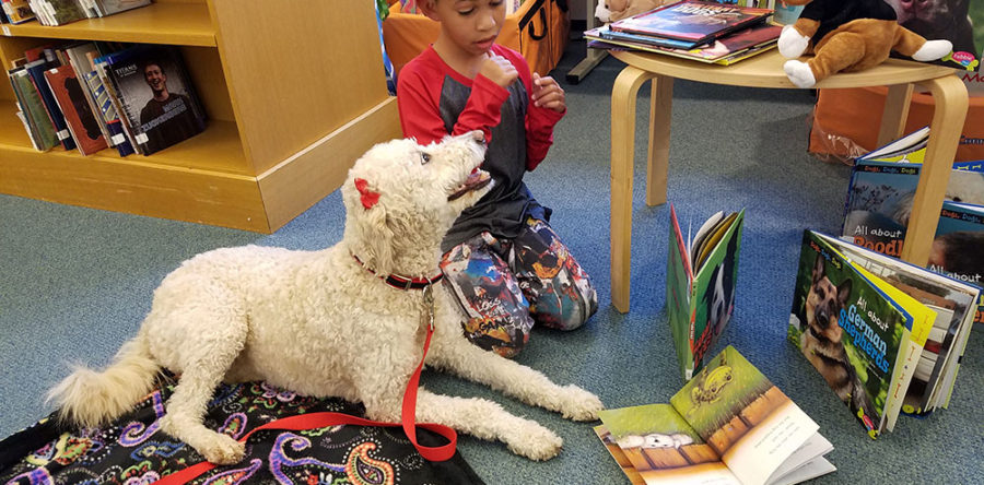 Mill Neck School for the Deaf with Therapy Dogs of Long Island