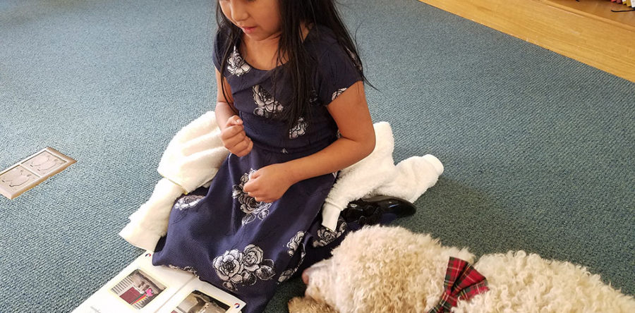 Kelly & Ken at Mill Neck