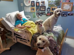 Therapy Dogs of Long Island