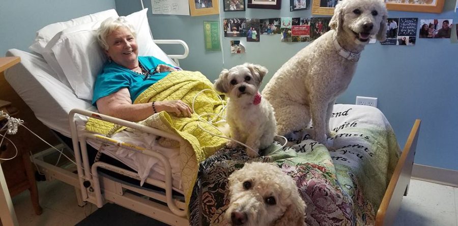 The Gang at Mill Pond Nursing Home