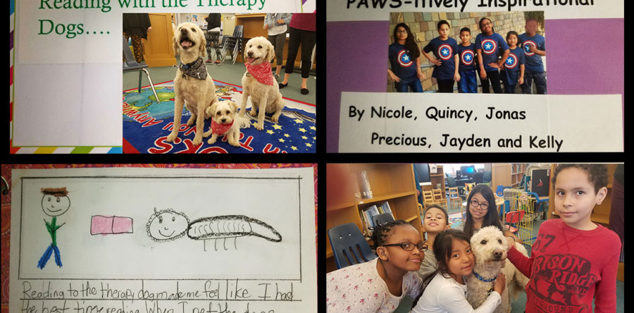 Reading to Dogs Program at Mill Neck School for the Deaf