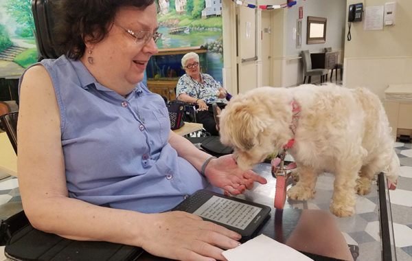 Therapy Dogs of Long Island at Mill Pond