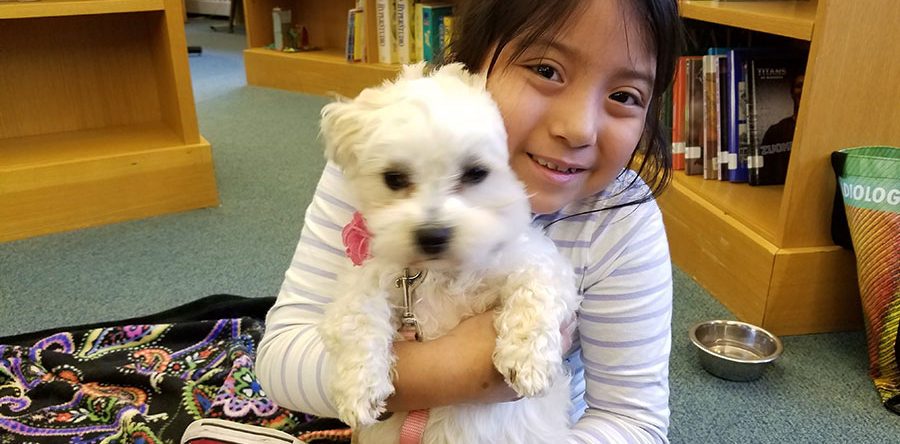 Reading to Dogs Program at Mill Neck