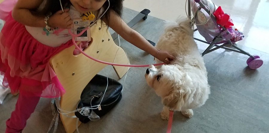 Pumpkin getting a second opinion