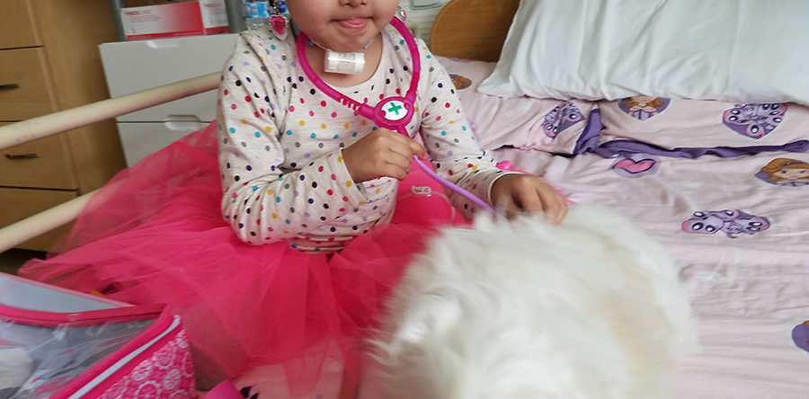 Pumpkin getting a checkup