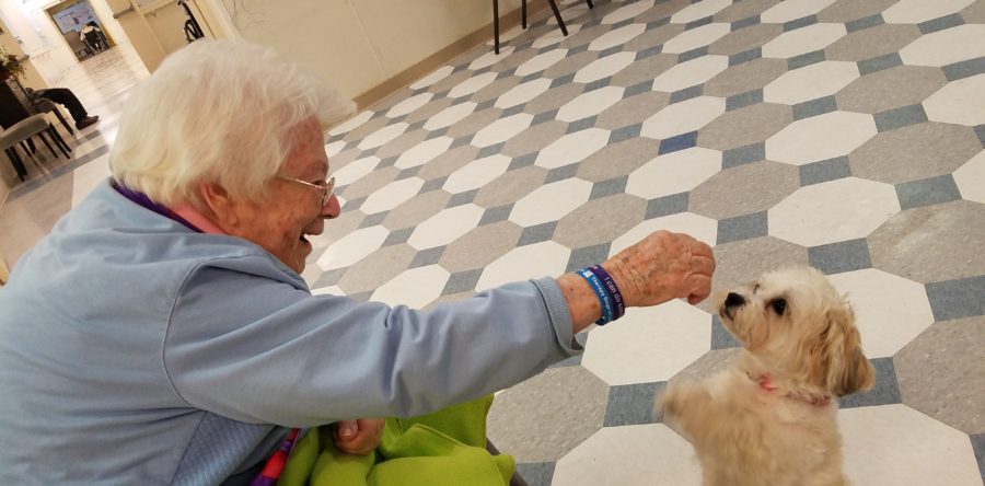 May playing with Pumpkin