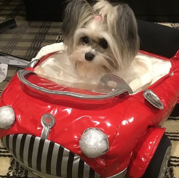 Sophie in her new car