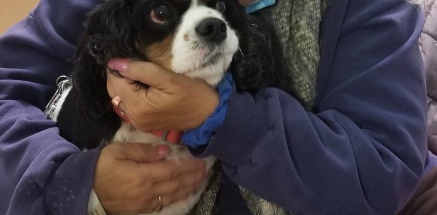 Lily feeling the love!